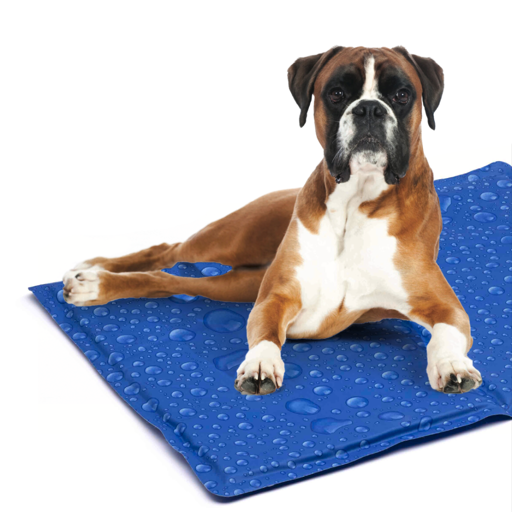 LEO PET ALFOMBRA REFRESCANTE PARA PERROS GRIS BURBUJAS 100X80 XL