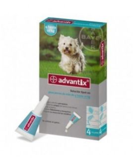 ADVANTIX 4 x 1,0 (DE 4 A 10 KG)