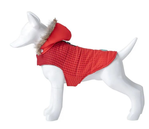 [20163501] FREEDOG ABRIGO  RED DOT 35 CM