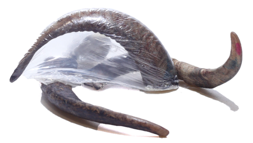 [2015-40] MY FRIENDS ASTA DE CABRA MONTESA TALLA M (20UND.)