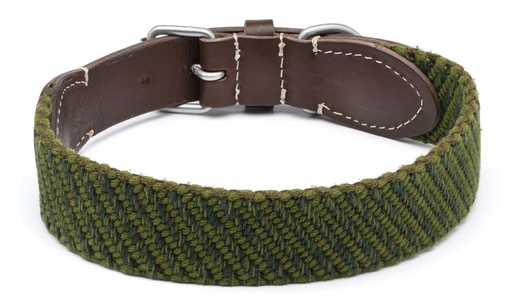 [DV39.55] LEO PET COLLAR DE CINTA COLOR LISO VERDE LAVADO 55X3.5CM 
